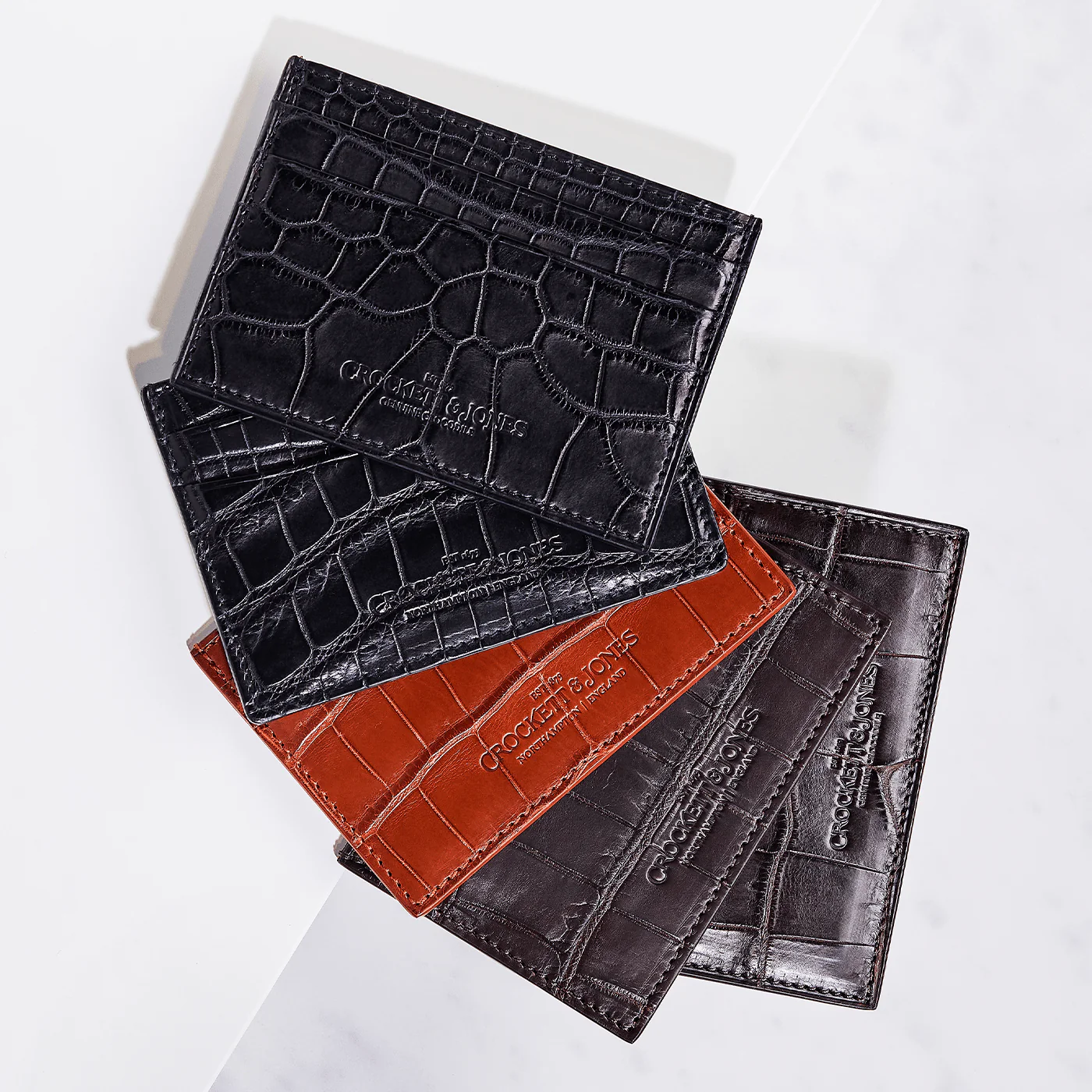 Card Holder Dark Brown Crocodile - Image 5