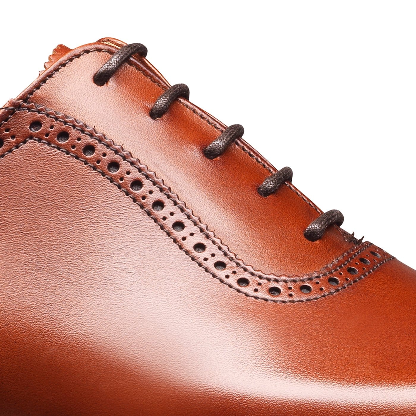Westbourne Chestnut Burnished Calf - Image 5